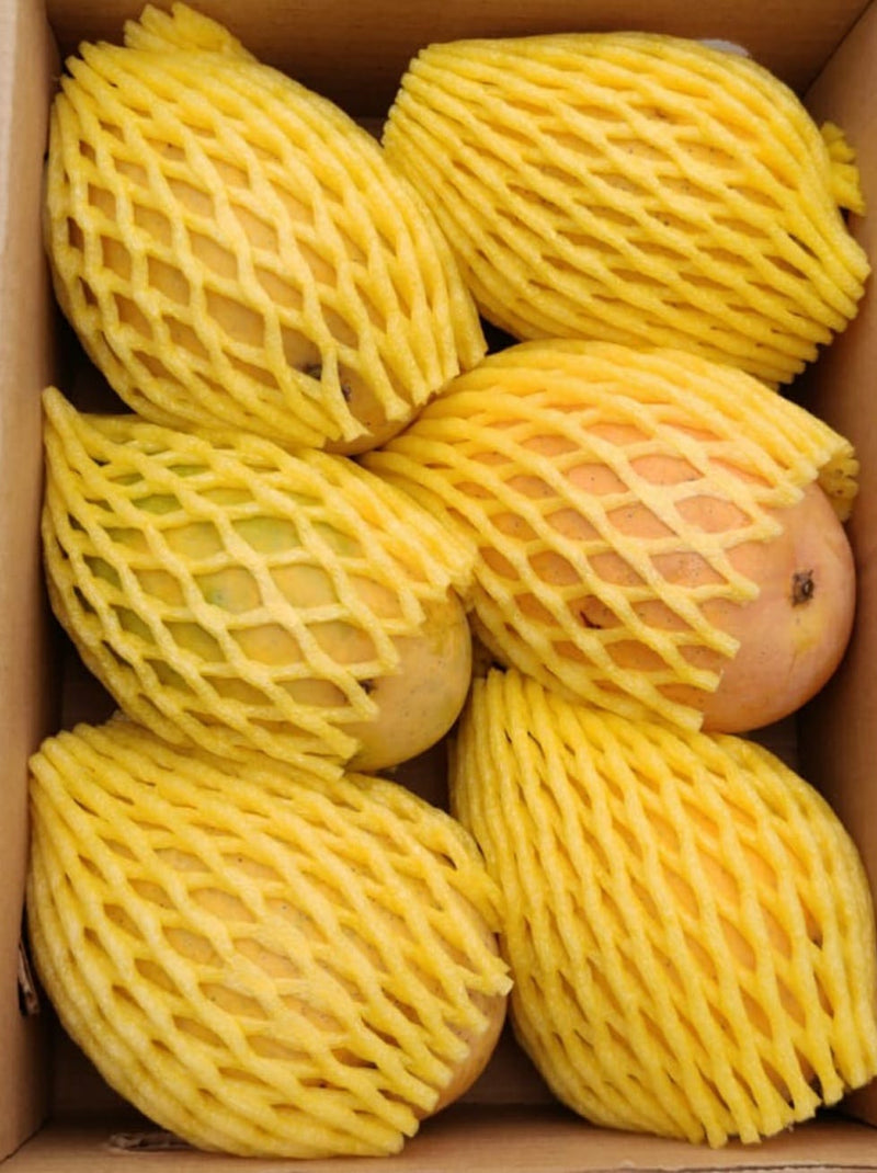Badami Mangoes (approx. 6) 1.5 kg