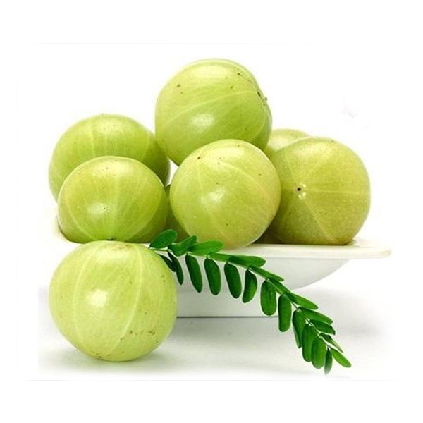 Amla | MalabarDirect