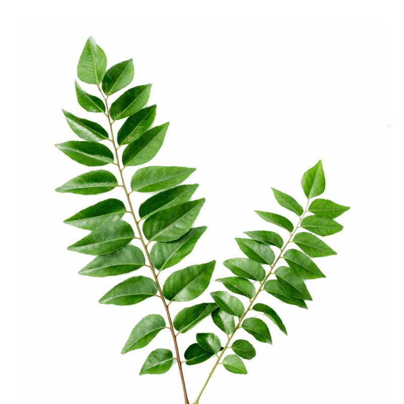 Curry leaves 15gm